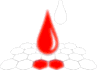 D.N.A HYDROPHOBIC APPEAL